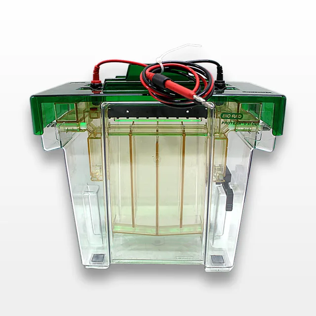 BIO-RAD Protean II XI Electrophoresis Cell for SDS-PAGE Gel Electrophoresis