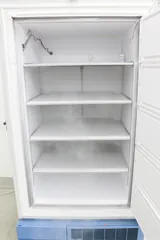Thermo Scientific ULT2186-10-A49 Ultra Low Freezer -80C CO2 Backup
