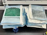 Applied BioPhysics Teer96 ECIS Analytical Multi-Station System