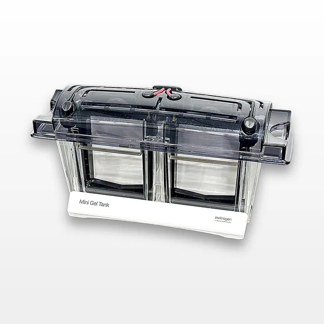 Invitrogen Mini Gel Tank Electrophoresis System