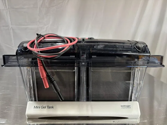 Invitrogen A25977 Mini Gel Tank Laboratory Equipment Excellent Condition