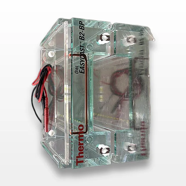 Thermo Scientific 7316 OWL EASYCAST B2-BP Electrophoresis Device