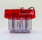 Invitrogen XCell4 Surelock Midi-Cell Electrophoresis System 600V