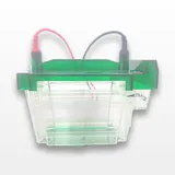 Bio Rad Criterion Cell Electrophoresis System for Up to 26 Samples