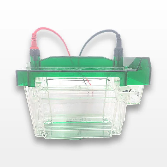 Bio Rad Criterion Cell Electrophoresis System for Up to 26 Samples