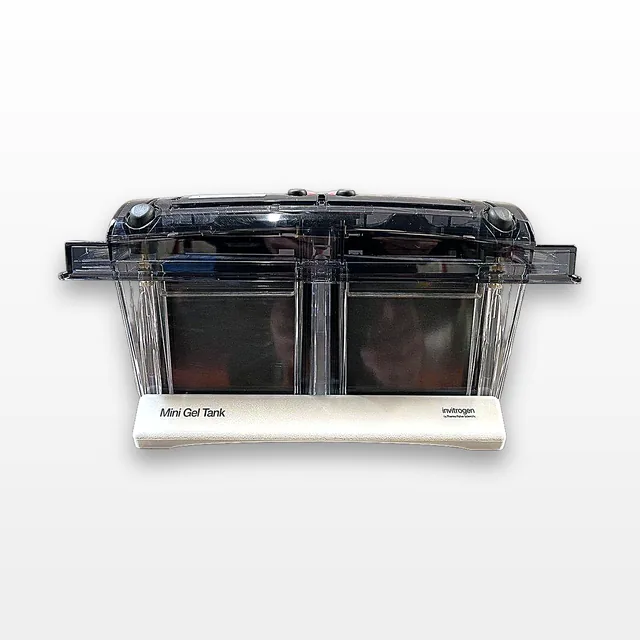 Invitrogen A25977 Mini Gel Tank Near-New Condition