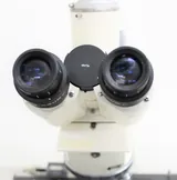 Zeiss Axioskop EL-Einsatz 45 14 87 Microscope - VG Condition, Fluorescence Ready