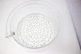 Lab Companion F42400-2221 10L Vacuum Desiccator Used Polycarbonate