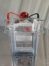 Invitrogen E10001 XCell SureLock Electrophoresis System