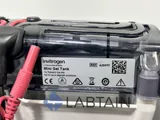 Invitrogen Mini Gel Tank Electrophoresis System