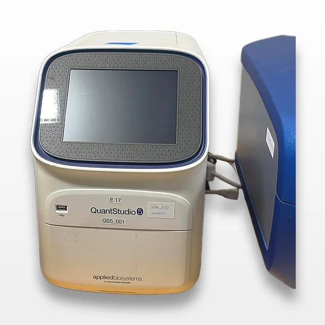 QuantStudio 5 Real-Time PCR System. 115V.
