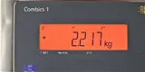 Sartorius Combics 1 CAH1G-64FE-S Bench Scale 64kg Capacity