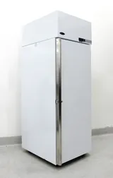 Norlake NSLF241WMW/0M Laboratory Freezer -25°C 24 cu ft