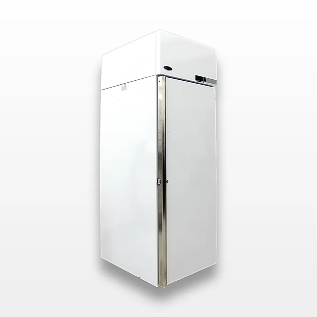 Norlake NSLF241WMW/0M Laboratory Freezer -25°C 24 cu ft