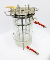 Unknown G11457 5L Bioreactor Vessel for Cell Culture & Microbial Fermentation