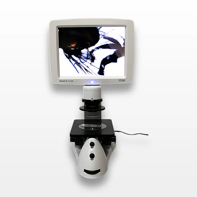Invitrogen EVOS XL CORE AMEX1100 Microscope Imaging System Turnkey