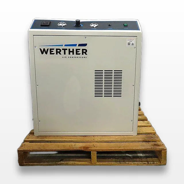 Werther International 2/50/379D Quiet Oil-less Compressor with Air Dryer