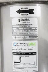 Goulds Water Technology e-SV Multistage Pump ESV 2.5X2.5X5.3-2P-BP, Energy Efficient