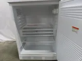 Thermo GTTSV05RPSA Refrigerator Cold Storage with Power Cord, 120 lb