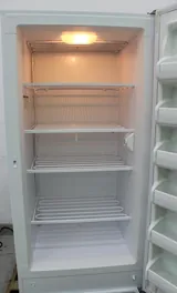 THERMO SCIENTIC GT20LFEETSA Lab Upright Freezer -20°C Functionality Tested