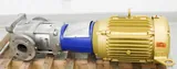 Goulds Water Technology e-SV Multistage Pump 46SV20ND30 Viton Seal 240 GPM