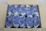 Thermo Scientific Nunc 50mL Sterile Polypropylene Centrifuge Tubes 500 Pcs