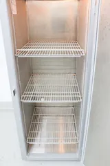 Thermo Scientific MF25SS-SAEE-TS GP Series 24 Cu Ft Lab Freezer