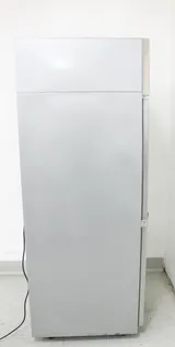 Thermo Scientific MF25SS-SAEE-TS GP Series 24 Cu Ft Lab Freezer