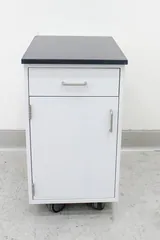 Kewaunee Scientific Corporation Storage Cabinet with Casters, Turnkey