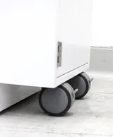 Kewaunee Scientific Corporation Storage Cabinet with Casters, Turnkey
