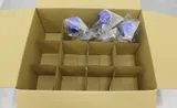 Triforest Labware FPC0250S Polycarbonate Erlenmeyer Shaker Flasks 63-Piece Set