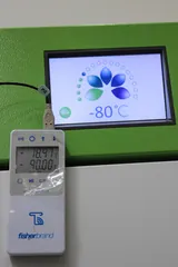 Stirling Ultracold SU780XLE Ultra-Low Temp Freezer -86°C