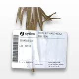 Cytiva Tool Kit Axichrom 300-1600 Chromatography Column Maintenance Set