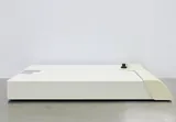 Luminex 100/200 with Luminex SD Unit Analyzer for Laboratory Testing