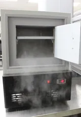 LSR LSRU85-1A Ultra Low Temperature Freezer -80C 30L