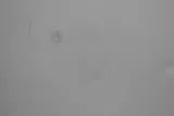 Thermo REL2304A Refrigerator 4C Operational