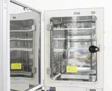 Sanyo MCO-19AIC UV CO2 Incubator Humidity & Temperature Control, 170L