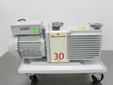 Edwards E2M30 Rotary Vane Vacuum Pump - 220V 50/60Hz Reliable VG Condition