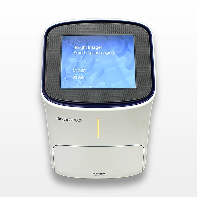 Invitrogen iBright CL1000 Imaging System for Chemiluminescent Western Blots