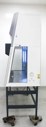 Thermo Scientific HeraSafe 2030i Biological Safety Cabinet Class II A2