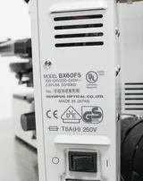 Olympus BX60F5 Microscope Imaging System with 5-Position Fluorescence Turret