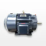 Leeson D256T17FB8A 20 HP General Purpose Motor, 3 Phase, 1800 RPM, 230/460V