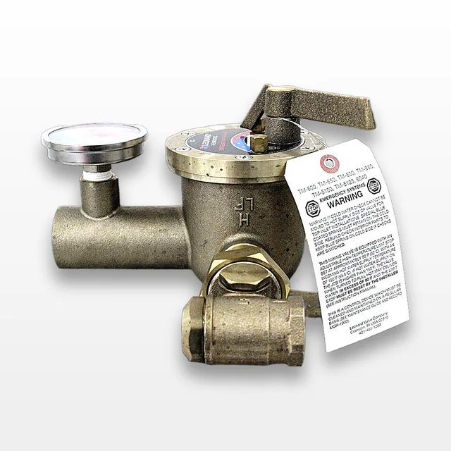 Leonard TM-600-LF Valve Emergency Water Mixing 85ºF Thermostatic Function