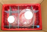 Foxx Life Sciences Vactrap G Vacuum Trap System 3L + 1L Glass Bottles