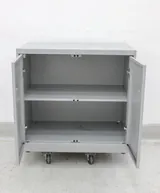 Allsteel model: EPF2301ED1PR2 BGVSV Storage Cabinet Steel Double Door