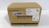 Invitrogen B1000 Mini Blot Module for Mini Gel Tank, Wet Transfer Device New