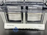 Invitrogen Mini Gel Tank Electrophoresis System