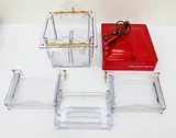 Invitrogen XCell4 Surelock Midi-Cell Electrophoresis System 600V