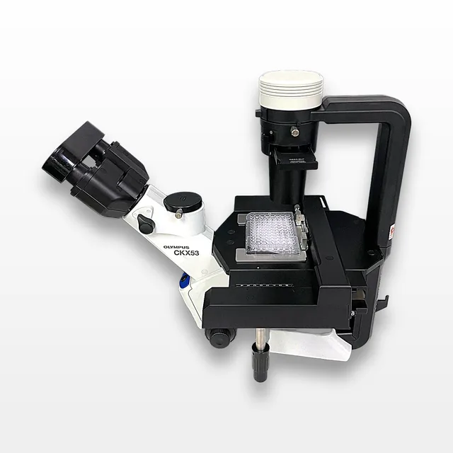 Olympus Inverted Phase Contrast Microscope CKX53