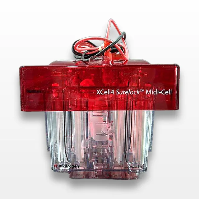 Invitrogen XCell4 SureLock Midi-Cell WR0100 Electrophoresis Device